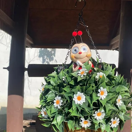 Hortenzia Vendeghaz Pensionat *