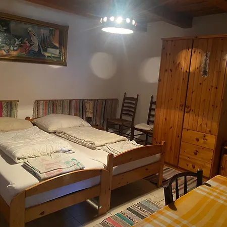 Hortenzia Vendeghaz Kisar